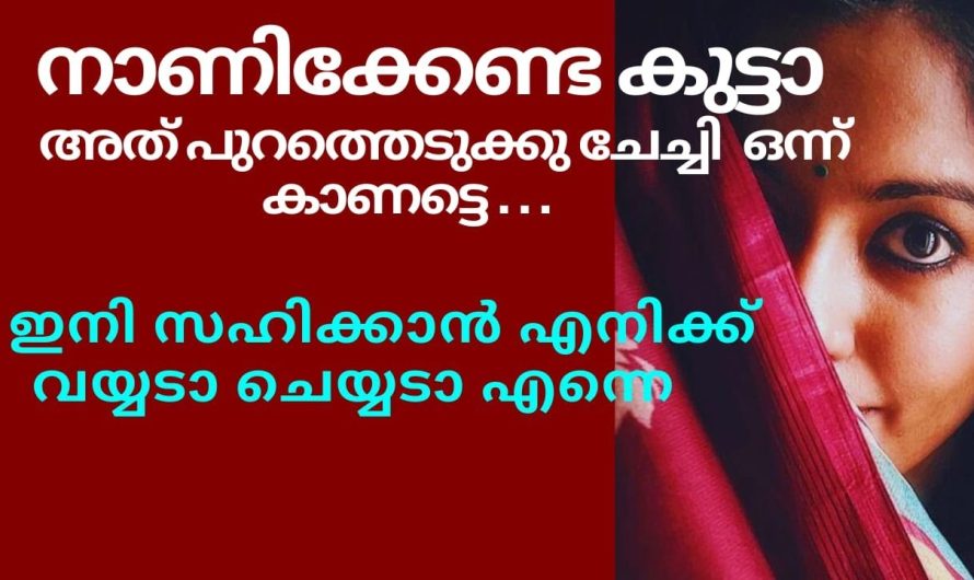 ഇനി സഹിക്കാൻ എനിക്ക് വയ്യടാ… ചെയ്യടാ എന്നെ പ്ലീസ്….