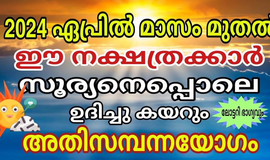 സൂര്യനെ പോലെ ഉദിച്ചു കയറുന്ന നാളുകൾ… ഇവർക്ക് നല്ലകാലം തുടങ്ങി…