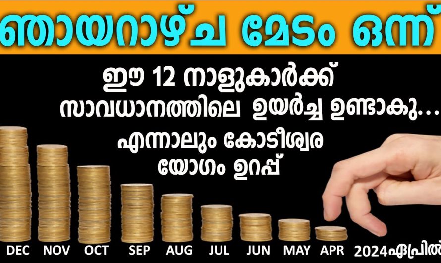 ഗണിതപ്രകാരം വിഷുവിനു ശേഷം കുതിച്ചു കയറുന്ന 12 നാളുകൾ….