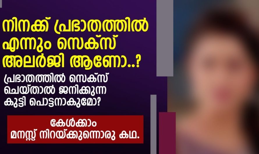 കേൾക്കാൻ മനസ്സു നിറയ്ക്കുന്ന ഒരു കഥ….