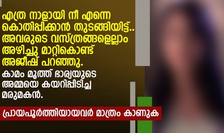 കാ മം മൂ.ത്ത് ഭാര്യയുടെ അമ്മയെ കേറി പിടിച്ച മരുമകന് സംഭവിച്ചത്…