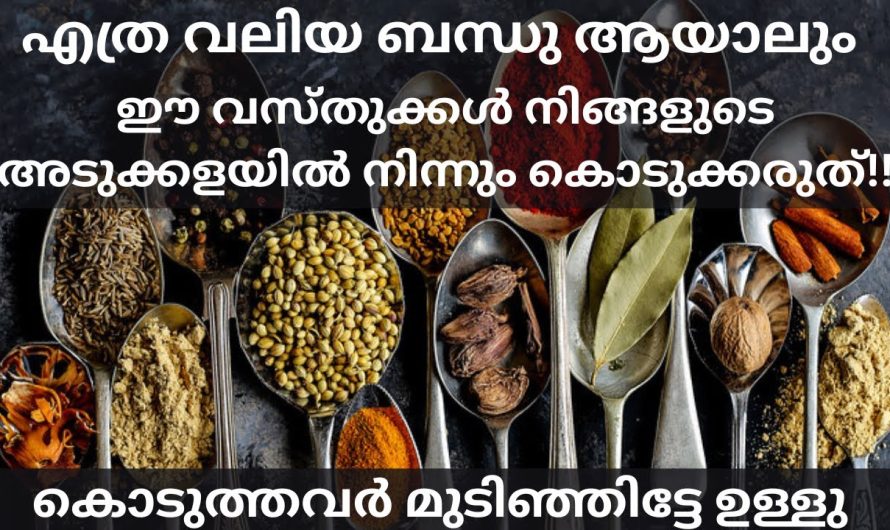 ഈ വസ്തുക്കൾ യാതൊരു കാരണവശാലും അടുക്കളയിൽ നിന്നും മറ്റുള്ളവർക്ക് കൊടുക്കരുത് മുടിയും ഉറപ്പ്