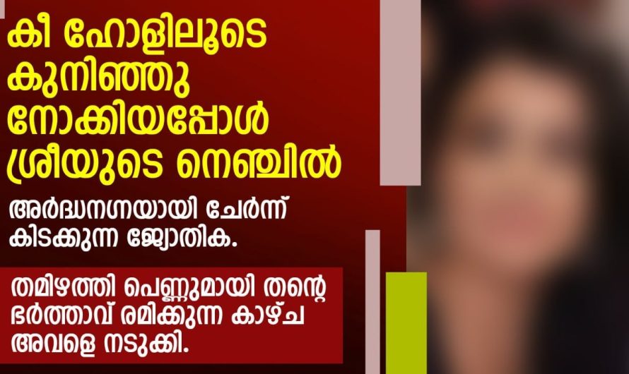 തമിഴ് പെണ്ണുമായി തന്റെ ഭർത്താവ് ചെയ്യുന്ന കാര്യം കണ്ട് ഭാര്യ ചെയ്തത്….
