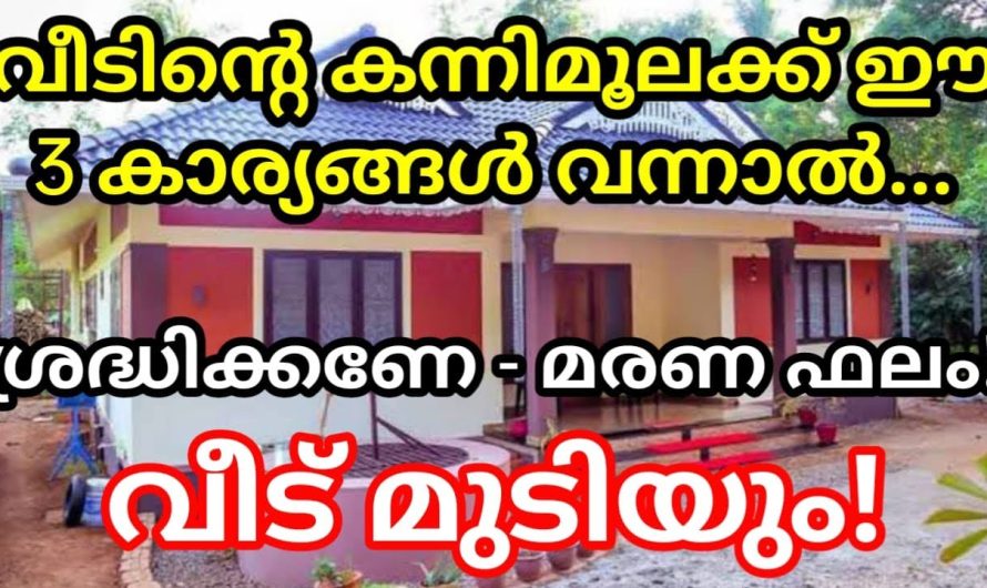 ഈ 3 കാര്യങ്ങൾ വന്നാൽ വീട് നശിച്ച് വെണ്ണീറാകും, വീട് മുടിയും ശ്രദ്ധിക്കണേ