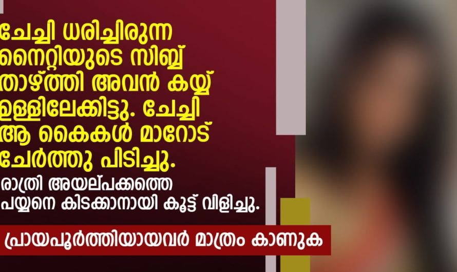 രാത്രി അയൽപക്കത്തെ പയ്യനെ കിടക്കാനായി കൂട്ടുവിളിച്ച ചേച്ചിക്ക് സംഭവിച്ചത്…. 🙈