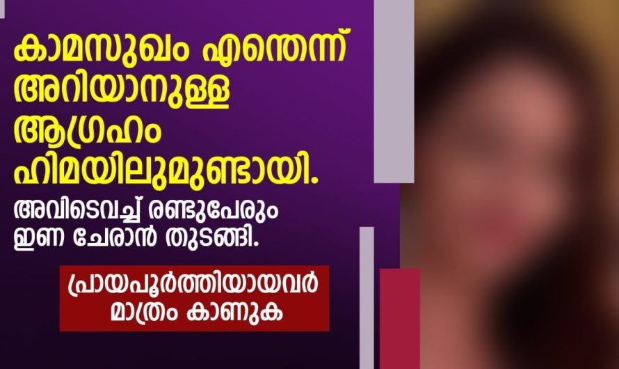 രണ്ടാം വിവാഹക്കാരിയുടെ ആദ്യരാത്രിയിൽ ചെറുക്കൻ ചെയ്ത പണി കണ്ടോ.,..