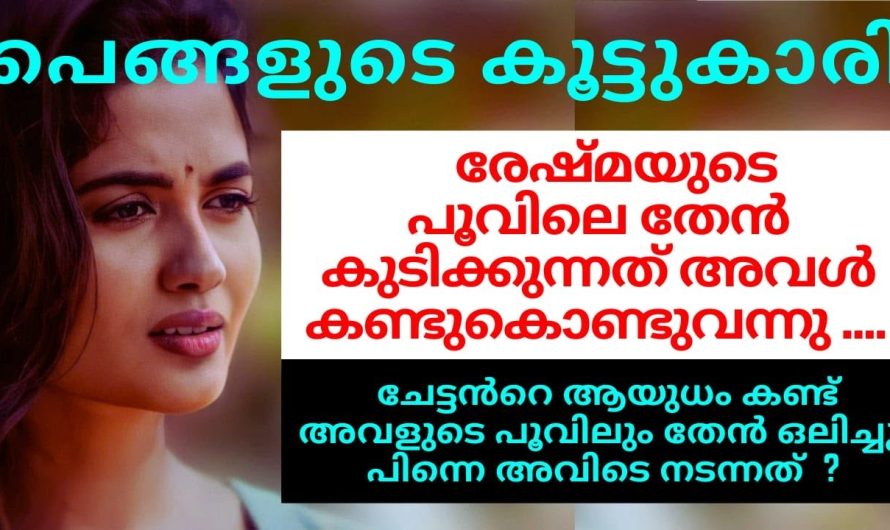 പെങ്ങളുടെ കൂട്ടുകാരി ചേട്ടനോട് ചെയ്ത കാര്യം കണ്ടോ….