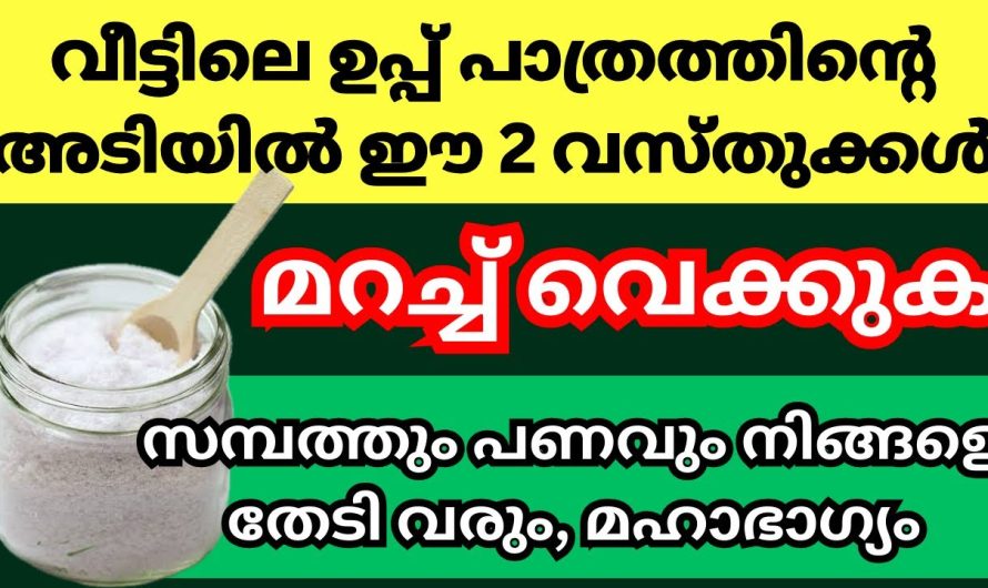 സമ്പത്തും പണവും നിങ്ങളെ തേടി വരും.. വീട്ടിൽ ഇങ്ങനെ ചെയ്തു നോക്കൂ….