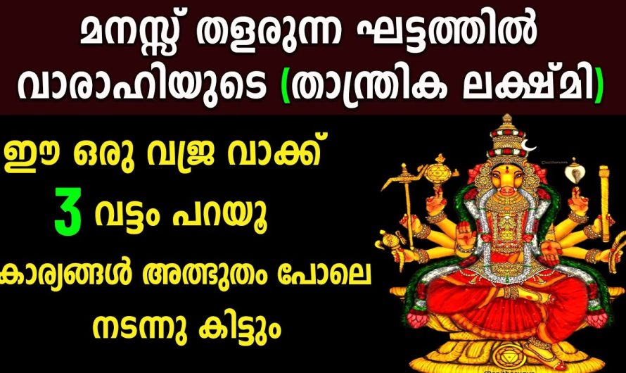 കാര്യങ്ങൾ കൈവിട്ടു പോകും എന്ന് കണ്ടാൽ ഉടനെ വാരാഹിയെ ഇങ്ങനെ വിളിക്കൂ,