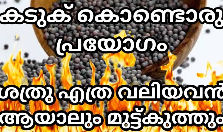 ശത്രു എത്ര വലിയ കൊലകൊമ്പൻ ആയാലും മുട്ടുകുത്തും,  കടുക് കൊണ്ട് ഇങ്ങനെ ചെയ്ത് നോക്കു…