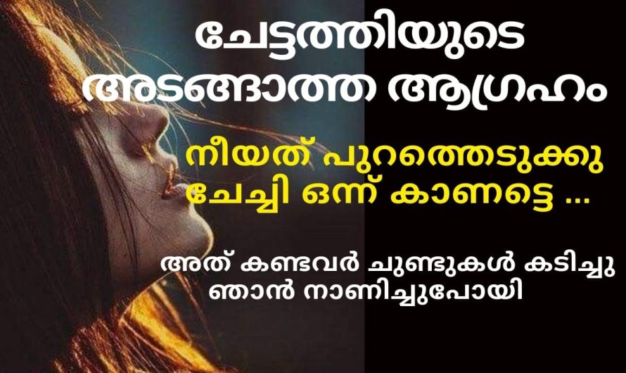 ചേട്ടത്തിയുടെ ആട്ടങ്ങാത്ത ആഗ്രഹം അനിയൻ തീർത്തു കൊടുത്തപ്പോൾ….