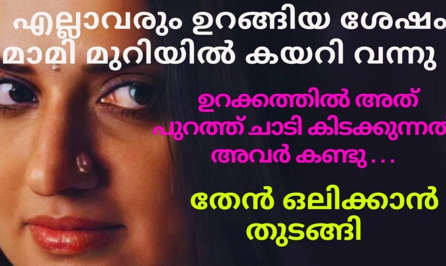 എല്ലാവരും ഉറങ്ങിയ ശേഷം മുറിയിൽ വന്ന മാമി കണ്ട കാഴ്ച…