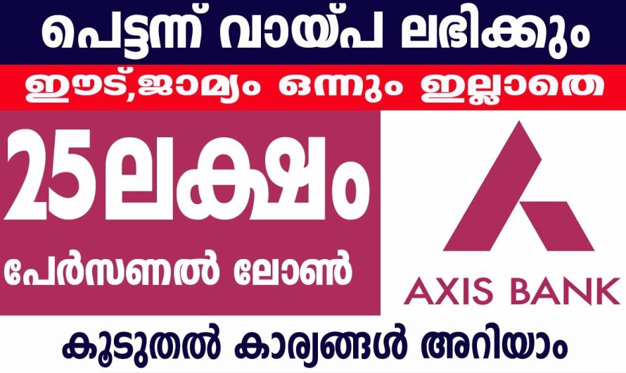 ഈ ജാമ്യം ഒന്നുമില്ലാതെ 25 ലക്ഷം  പേഴ്സണൽ ലോൺ വേണോ??