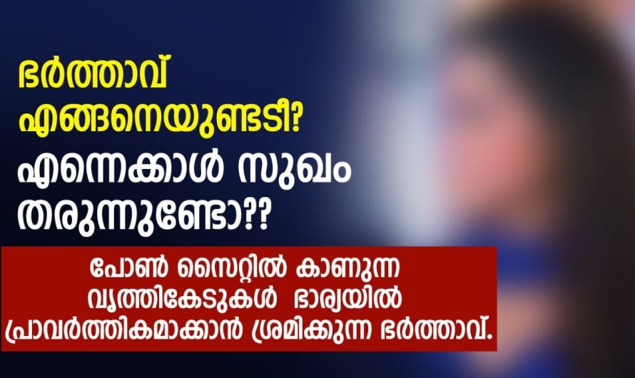 പോ.ൺ സൈറ്റിൽ കാണുന്ന വൃത്തികേടുകൾ ഭാര്യയിൽ പ്രാവർത്തികമാക്കാൻ ശ്രമിക്കുന്ന ഭർത്താവിനോട് ഭാര്യ പറഞ്ഞത് കേട്ടോ…