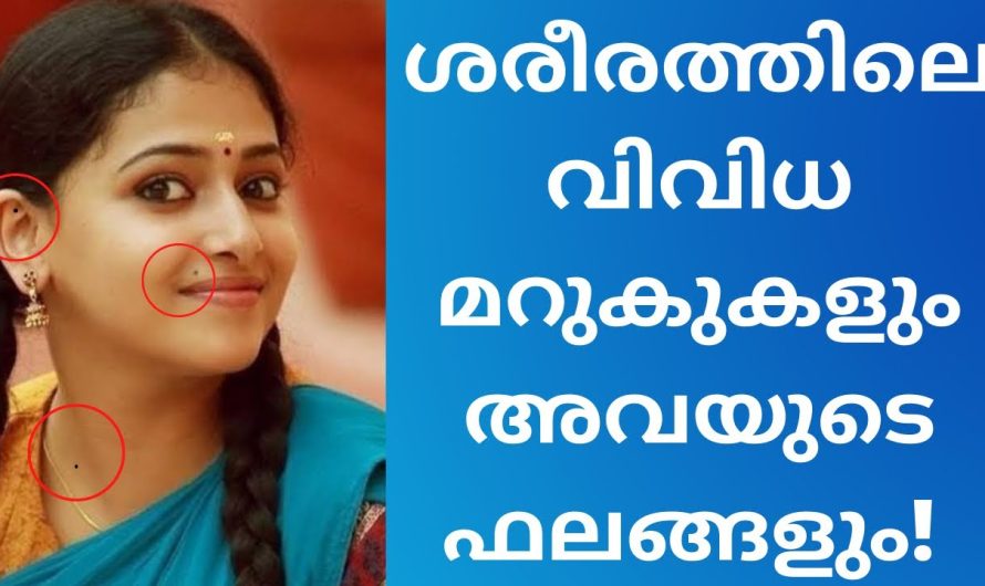 ലക്ഷ്ണ്ണ ശാസ്ത്രപ്രകാരം മർഗുകൾ നൽകുന്ന സൂചനകൾ….  നിങ്ങൾക്കുണ്ടോ?