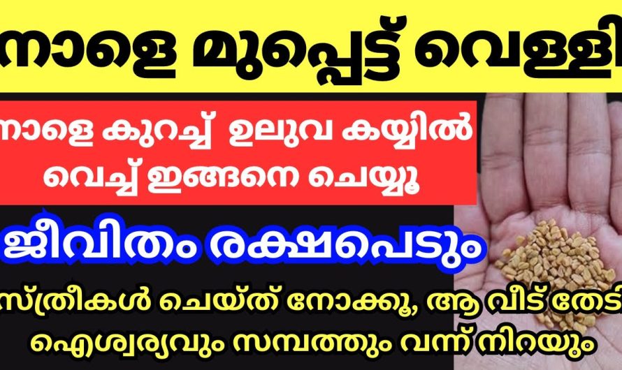 ഭഗവതി മഹാലക്ഷ്മിയുടെ അനുഗ്രഹം നേടാൻ ചെയ്യേണ്ട കർമ്മം