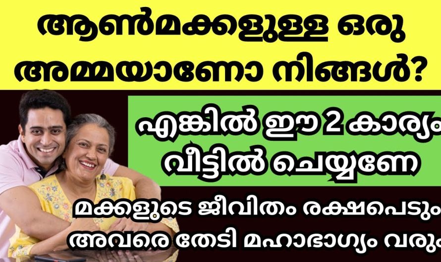 കുടുംബത്തിനായി ഇതിലും നല്ലൊരു കാര്യം ചെയ്യാനില്ല – സ്ത്രീകൾ കണ്ടിരിക്കേണ്ടത്