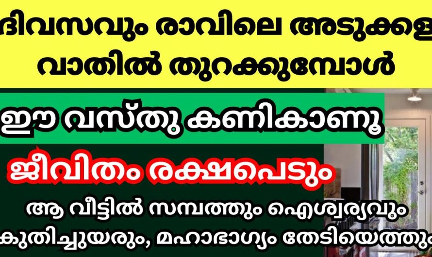 വീട്ടമ്മമാർ ദിവസവും ഈവസ്തു അടുക്കളയിൽ കണികണ്ടാൽ ദാരിദ്ര്യം നിറഞ്ഞ വീടും കൊട്ടാരമായി മാറും