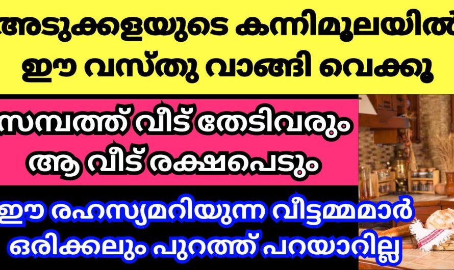 കന്നിമൂലയിൽ വാസ്തു പറയുന്ന അടുക്കളരഹസ്യം ഇതാണ് – ശ്രദ്ധിച്ച് നോക്കൂ