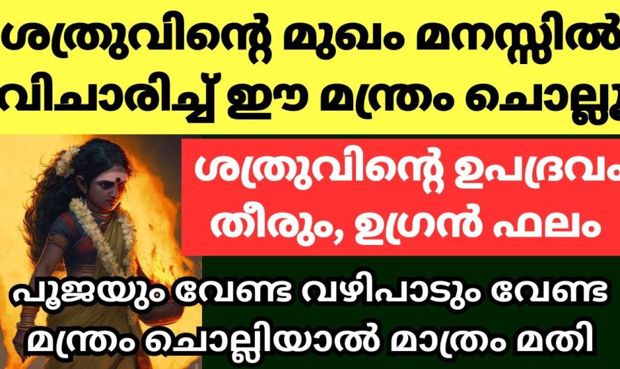 ഏറ്റവും ശക്തിയുള്ള മന്ത്രം ഇത് – എത്ര കൊടികുത്തിയ ദോഷവും തീരും