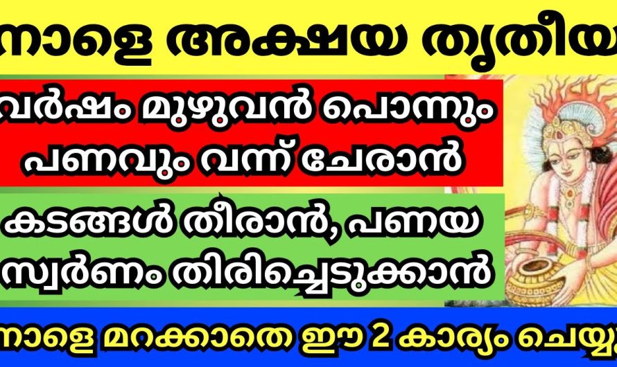 ഭഗവതി അക്ഷയപാത്രം നൽകി അനുഗ്രഹിക്കും, ഫല സിദ്ധി ഉറപ്പ്, ഇത് മറക്കല്ലേ