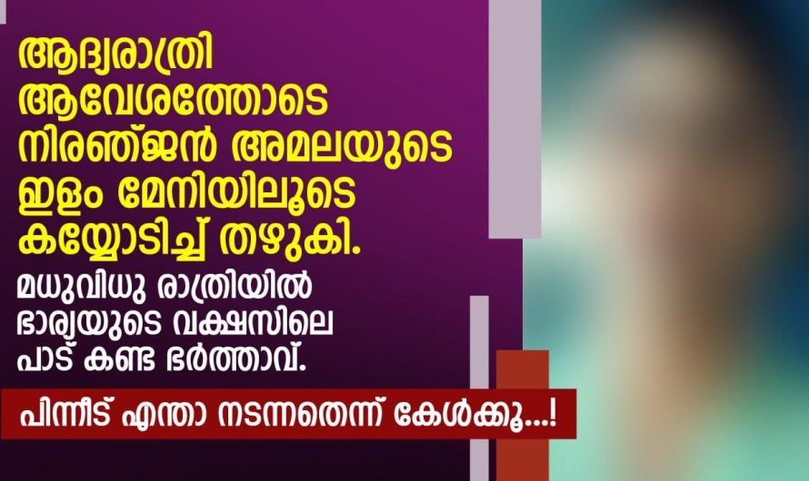 മധു.വിധു രാത്രിയിൽ ഭാര്യയുടെ വ.ക്ഷ.സി.ലെ പാട് കണ്ട ഭർത്താവ്. പിന്നീട് എന്താ നടന്നതെന്ന് കേൾക്കൂ…