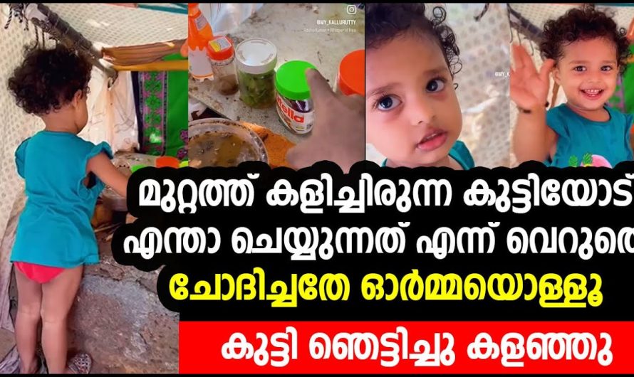 മുറ്റത്ത് കളിച്ചിരുന്ന കുട്ടിയോട് എന്താ ചെയ്യുന്നത് എന്ന് വെറുതെ ചോദിച്ചതേ ഓർമ്മയൊള്ളൂ…