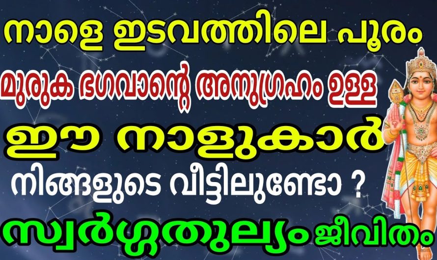 ഈ നാളുകാരുടെ ജീവിതം മുരുക ഭഗവാൻ്റെ കൃപ കൊണ്ട് സ്വർഗ്ഗതുല്യം