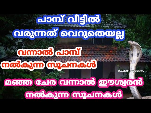 പാമ്പിനെ വീട്ടിലോ പരിസരത്തോ കണ്ടാൽ ഉള്ള ഞെട്ടിക്കുന്ന ഫലങ്ങൾ.