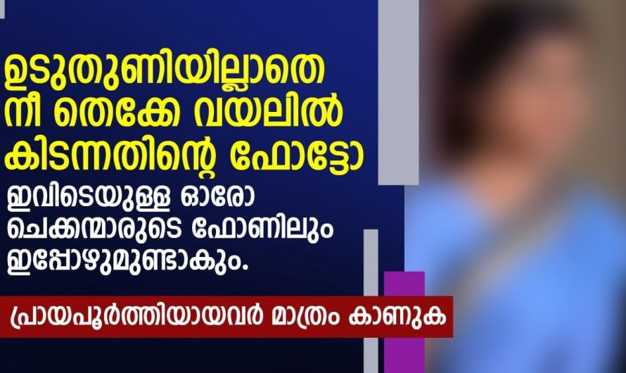 ഉടു.തുണി.യില്ലാതെ നീ തെക്കേ വയലിൽ കിടന്നതിന്റെ ഫോട്ടോ ഇവിടെയുള്ള ഓരോ ചെക്കന്മാരുടെ ഫോണിലും….