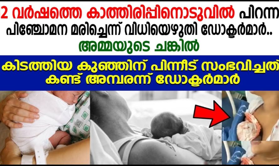 12 വർഷത്തെ കാത്തിരിപ്പിനൊടുവിൽ പിറന്ന പിഞ്ചോമന മരിച്ചെന്ന് വിധിയെഴുതിയ ഡോക്ടർമാർ പിന്നീട് അവിടെ സംഭവിച്ചത്…