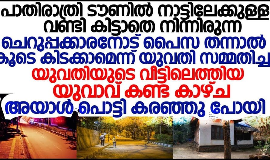 പാതിരാത്രി കൂടെ കിടക്കാമെന്നു പറഞ്ഞ യുവതിയുടെ പിന്നാലെ പോയ യുവാവ് കണ്ട കാഴ്ച്ച