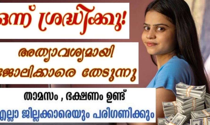 അത്യാവശ്യമായി ജോലി കാര്യത്തെ തേടുന്നു എല്ലാ ജില്ലക്കാരെയും പണി പരിഗണിക്കും… 👇