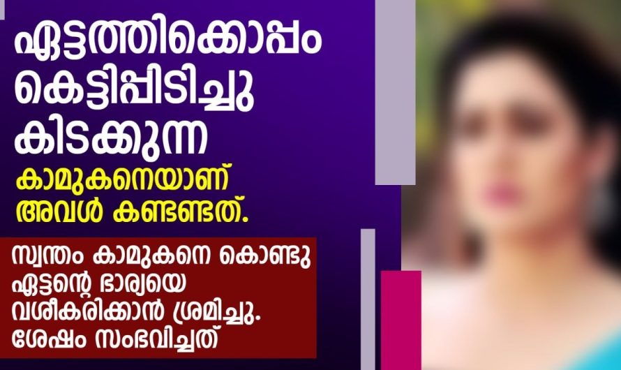 സ്വന്തം കാമുകനെ കൊണ്ട് ഏട്ടന്റെ ഭാര്യയെ വശീകരിക്കാൻ ശ്രമിച്ചു പിന്നീട് അവിടെ നടന്നത്….