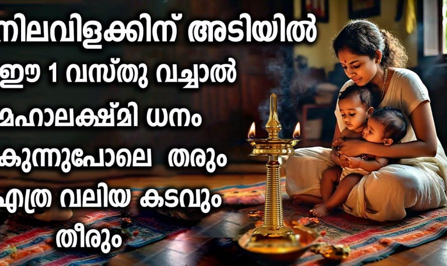 ഇന്നുമുതൽ സന്ധ്യ വിളക്ക് തെളിയിക്കുമ്പോൾ ഇങ്ങനെ ചെയ്തു നോക്കൂ…  ലക്ഷ്മി സാന്നിധ്യം…