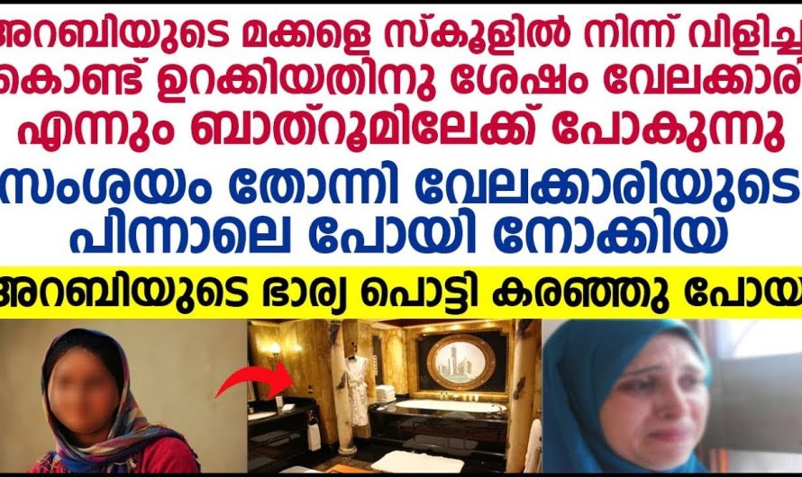 സംശയം തോന്നി വേലക്കാരുടെ പിന്നാലെ പോയി നോക്കിയ അറബിയുടെ ഭാര്യക്ക് സംഭവിച്ചത്….