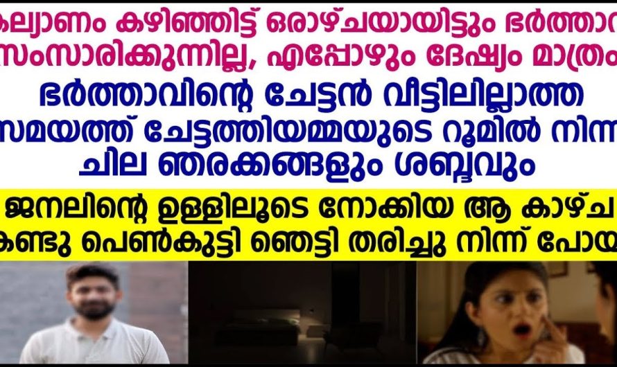 ജനലിന്റെ ഉള്ളിലൂടെ നോക്കി ആ കാഴ്ച കണ്ട പെൺകുട്ടി ഞെട്ടിത്തരിച്ചു നിന്ന് പോയി പിന്നെ സംഭവിച്ചത്