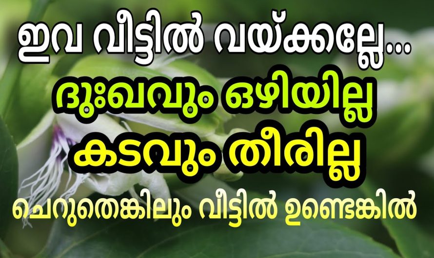 ജ്യോതിഷ സംബന്ധമായ കാര്യങ്ങൾ ഇവ വീട്ടിൽ ഉണ്ടെങ്കിൽ ദുഃഖം ഒഴിയില്ല