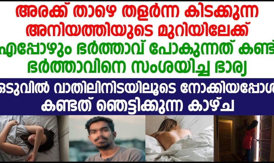 അനിയത്തിയുടെ മുറിയുടെ വാതിലിനിടയിലൂടെ നോക്കിയ ഭാര്യ കണ്ടത് ഞെട്ടിക്കുന്ന കാഴ്ച