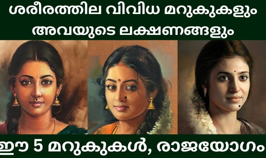 ലക്ഷണ ശാസ്ത്രം : ശരീരത്തിലെ വിവിധ മറുകുകളും അവയുടെ ഫലവും