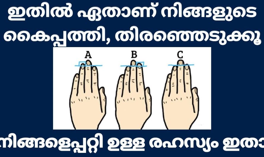 ഇതിൽ ഏതാണ് നിങ്ങളുടെ കൈപ്പത്തി എന്ന് നോക്കൂ, ഹസ്തരേഖാ ശാസ്ത്ര പ്രകാരം നിങ്ങളെ പറ്റി ഒരു രഹസ്യം ഇതാ