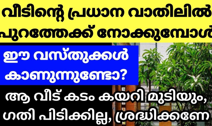 അറിഞ്ഞിരിക്കാതെ പോകല്ലേ വീടിനുള്ളിൽ നിന്ന് നോക്കുമ്പോൾ കാണുന്ന കാഴ്ചകൾ വാസ്തുദോഷത്തിന് കാരണമാകും,