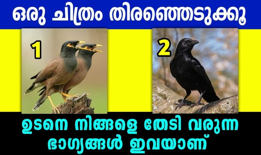 ഉടനെ നിങ്ങൾക്ക് ലഭിക്കുന്ന സൗഭാഗ്യം എന്താണ് എന്നറിയാം… തൊടുകുറിയിലൂടെ…