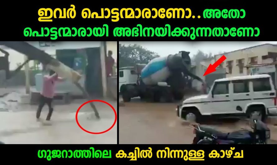 ഇങ്ങനൊരു കാഴ്ച ഉള്ളതുതന്നെയാണോ എന്ന് തോന്നിപ്പോകും…