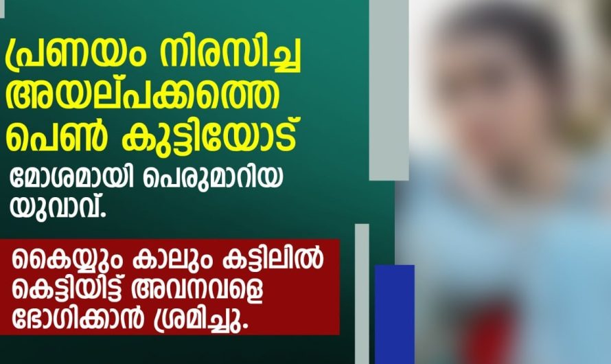 അയൽപക്കത്തെ പെൺകുട്ടിയോട് മോശമായി പെരുമാറിയ യുവാവിനോട് അമ്മ ചെയ്തത് കണ്ടോ…