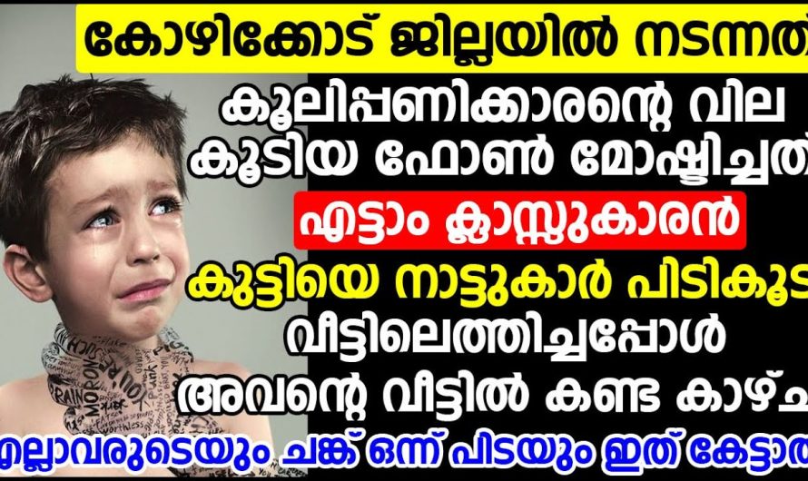 ഫോൺ മോഷ്ടാവിനെ കണ്ടു പിടിച്ചു പിന്നീഡ് സംഭവിച്ചത്