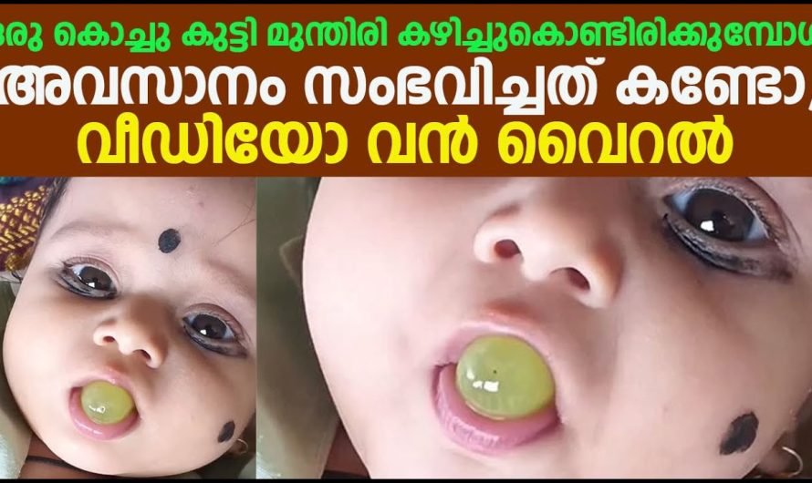 ഒരു കൊച്ചു കുട്ടി മുന്തിരി കഴിച്ചുകൊണ്ടിരിക്കുമ്പോൾ അവസാനം സംഭവിച്ചത് കണ്ടോ,