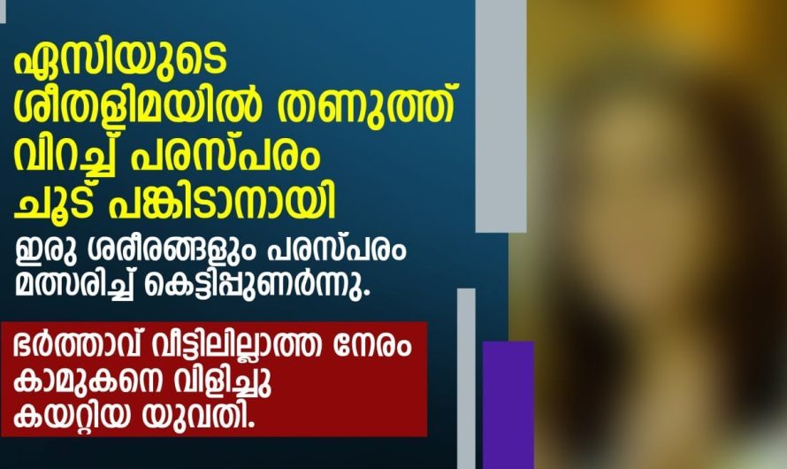 ഭർത്താവില്ലാത്ത നേരം നോക്കി കാമുകനെ വിളിച്ചു കയറ്റിയ യുവതിക്ക് സംഭവിച്ചത്…