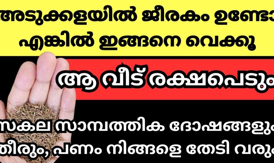 ജീരകം കൊണ്ട് ചെയ്യുന്ന അത്ഭുത ഫലസിദ്ധിയുള്ള ധനവശ്യ കർമ്മം ഇത് – വീട്ടമ്മമാർ ചെയ്താൽ മതി