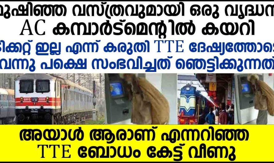 ടിക്കറ്റ് ഇല്ല എന്ന് കരുതിയിട്ട് ടിടി ദേഷ്യത്തോടെ വന്നു പിന്നെ അവിടെ സംഭവിച്ചത് ഞെട്ടിക്കുന്നത്…